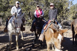 Three amigos - Alek 'decided' to stay with John in Phoenix and visit customers