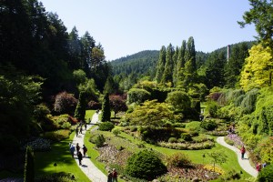 Pictures don't do it justice